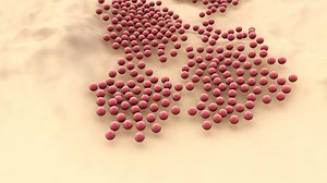 Cells Divide Multiply Stock Footage Video (100% Royalty-free) 1020704992 | Shutterstock