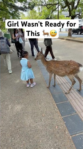 Aarna’s Reaction When the Deer Came Close 🦌❤️