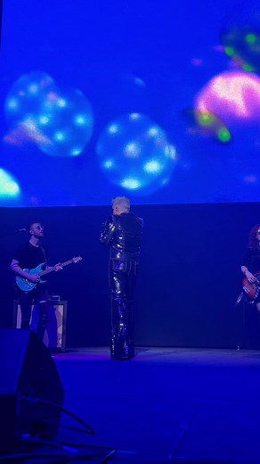 Sometimes you just have to give the people what they want. The Muffin Man, live from Royal Albert hall 🎭 | Adam Lambert