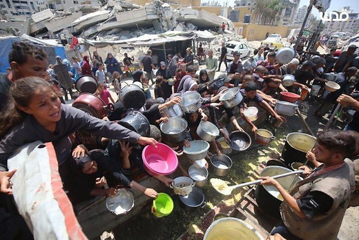 'A Failure of Humanity Itself': UN Confirms Famine in Gaza for First Time