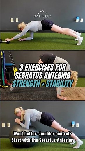 3 Exercises for Serratus Anterior Strength & Stability #physicaltherapy #shoulder #serratusanterior