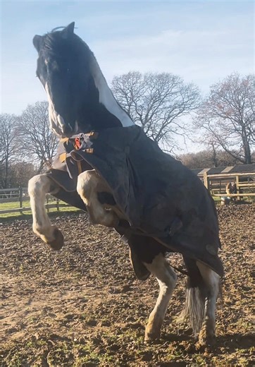 haven’t edited in a while … | edits