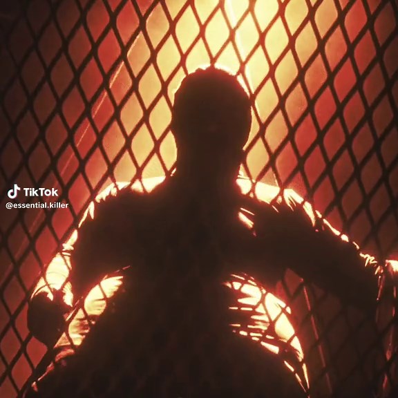 The Collector: A Stunning Movie Edit