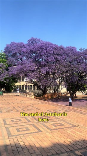 Let’s get those distinctikns and be ready for exam season ! 💪🎓🔥 Welcome to Part 1 of my new series “Mind and Method “, “Preparing the Mind 🧠” I hope you enjoy !!! 😁❤️ #christ #fyp #student #univeristy #academics