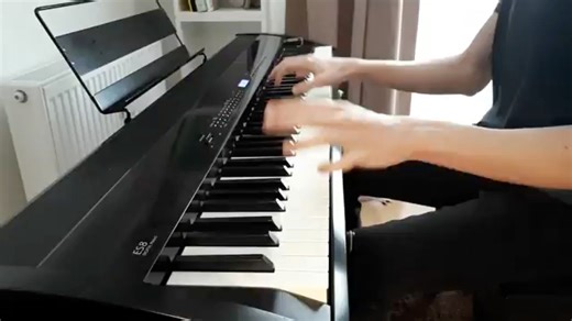 异度之刃2 Xenoblade Chronicles 2 - 《Counterattack》钢琴