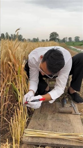 Smart Farming Trick You’ve Never Seen 🌾😱