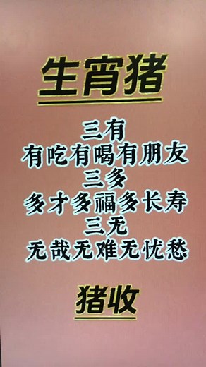 #生肖猪 #十二生肖 #传统文化 #国学智慧