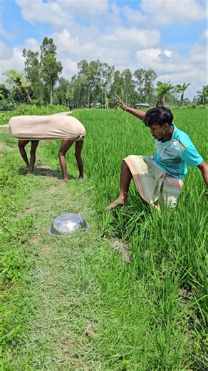 The boy is scared of the frog jumping.
