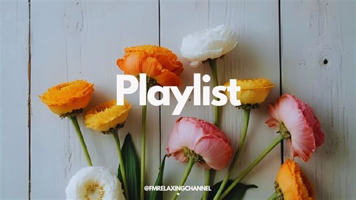 【PEACEFUL PIANO MUSIC】烦嚣都市找遍刻宁静，一个人听着宁静音乐，欣赏美丽大自然景色，平静身心，清空脑袋，消除平日累积的压力及焦虑，停止内耗