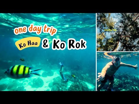 Exploring Ko Haa & Ko Rok | Thailand’s Secret Snorkeling Islands