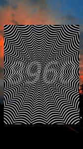 Your eyes might be playing tricks on you… 👀✨Did it move or is it just your mind? #noblequiz #quiz #fun #QuizTime #fblifestyle | iPhone XR