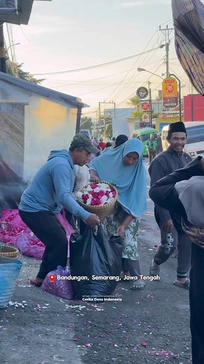 42K views · 586 reactions | Jual beli bunga di pasar bunga Bandungan setiap pagi | Cerita Desa Indonesia | Facebook