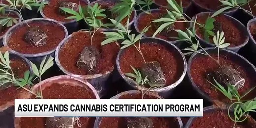 ASU expands cannabis certification program