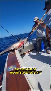 26K views · 217 reactions | Madmacs Tuna Fishing with Bowline...