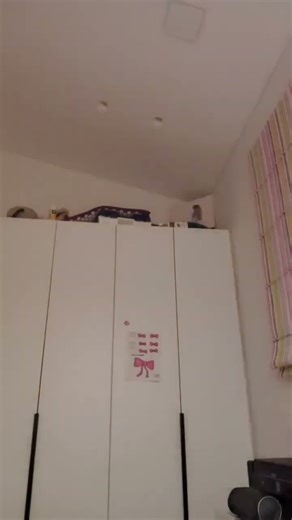 machine. #roblox #art #fypシ゚viral #puppet #dragonpuppets #haveitoldyoulatelythatiloveyou