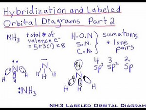 9. Hybridization: Part 2 - Heteroatoms and Molecular Dipole Moment