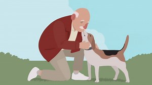 A piece of the puzzle: Trauma Informed Practice in dementia care