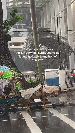 Kind Letter | sent ✨ (@feathered.letters)’s videos with Let Down - Radiohead