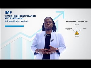 Risk Identification Methods