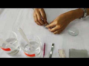 Plasmolysis in epidermal cells of Tradescantia leaf II 12th Biology Practicle II Maharastra Board