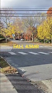 Fall Leaves ASMR #naturesounds