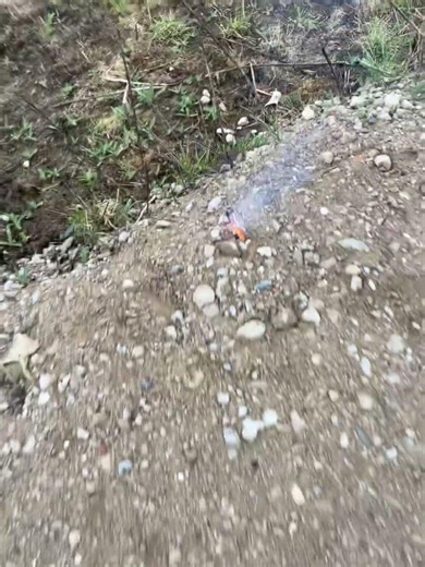 Salut Singleshot extrem #fireworks #feuerwerk #experiment #dumbum #pyrotechnica #pyro