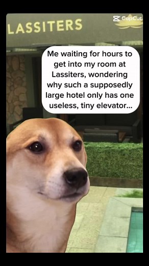 Why though? 🤔 #neighbours