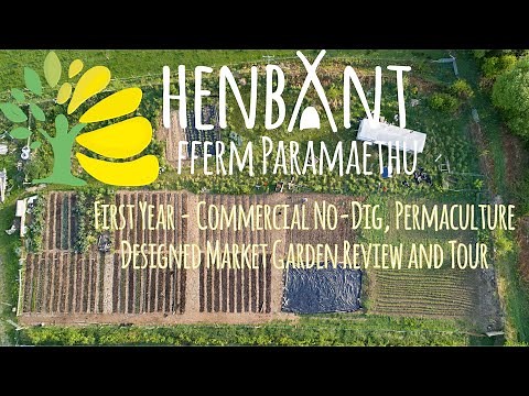 First Year of commercial no-dig Market Garden in the UK - Henbant Permaculture - Farm Tour
