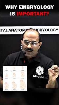 Why Embryology Is Important Key Concepts You Must Know! #embryology #medicalshorts #studytips