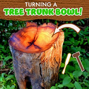 Turning a Bowl from a Tree Trunk | Woodturning with Tim Yoder