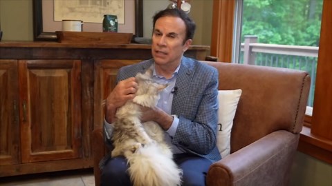 Have you heard about the puppy scam? It's now spreading to kittens!