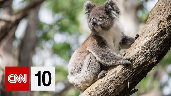 CNN10: The big stories of Friday 2/28, explained in 10 minutes