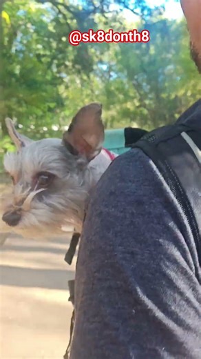 Fonz and Party Patty outdoor skate San Antonio I don't own the rights to this song #skating