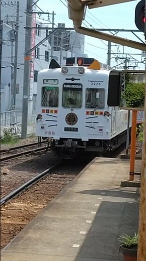 和歌山電鐵2270系たま電車貴志行き和歌山発車#和歌山電鐵