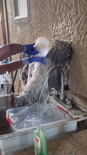 Washing a Woolly Sheep: Cleaning Tips and Techniques