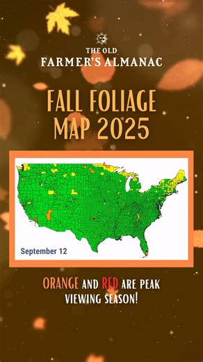 Leaf-peeping season is HERE! 🍂 Check out our nifty interactive map that shows where foliage will be location-wise during its colorful peak, and when! (Orange and red are the colors you're aiming for!) Who's looking forward to the changing seasons this year? Are YOU ready for fall? 🍂 Almanac.com/Foliage | The Old Farmers Almanac