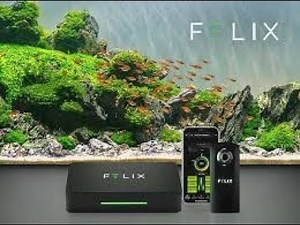 Felix - is the first smart computer for aquariums, always under control