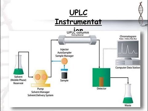 Discussion about UPLC System in Chromatography