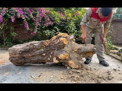 $0 Rotten Log → $300 Tea Table