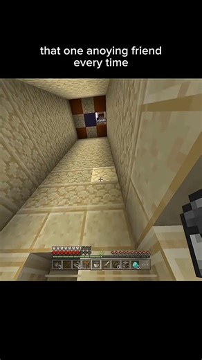 that one anoying friend every time #minecraft