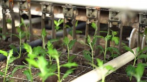 7.1K views · 18 reactions | Decorum Company on Reels | Facebook