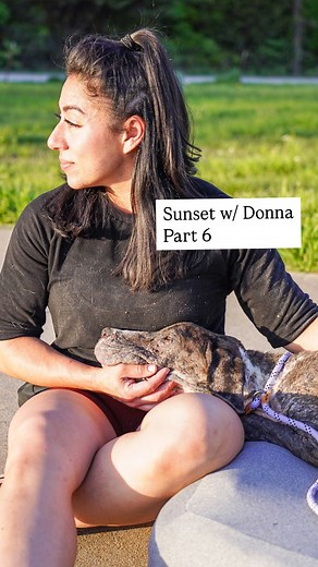 Stephanie Rodriguez on Instagram: "Slowly, but surely we are seeing more of Donna’s personality. Donna is such a sweet, affectionate pup, but we are talking it slow.🥹💕 We are letting her be affectionate on her own terms… as she flinches if you reach out for her. Which absolutely breaks our hearts. We are hoping that someone sees her videos and knows who did this to her. Someone has to know something. this type of neglect does not happen overnight. Share her videos far and wide friends… Someone
