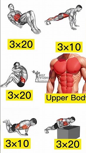 Best Upper Body Exercises at Home for Beginners #teamhamza