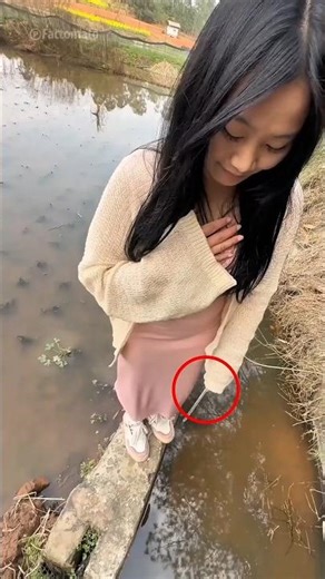 Snail Egg 🐌