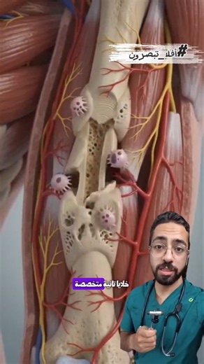 ازاي العظم بيرجع تاني بعد الكسر لشكله الطبيعي 🦴 #أفلا تبصرون #دكتور #medicalstudent #medical #foryou