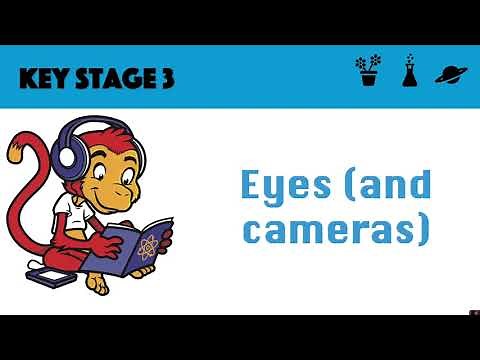 The eye (and pinhole camera)