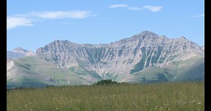 In the rolling foothills of southern Alberta, where the Prairies and the Rocky Mountains collide, lies The Yarrow – a 1,650-hectare property comprised of rare grasslands and rich forests parted by meandering creeks and pristine wetlands. A spell-binding array of wild species, dozens of which are vulnerable or at-risk, rely on this area to survive. Together, we have reached 98% of our goal to secure The Yarrow. Help us cross the finish line and keep this magnificent landscape a home for life.➡️ h