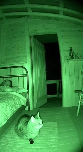 Something Feels Wrong: Paranormal Footage Revealed