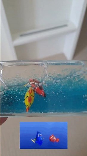 Colourful Fish Toy in Water | Finding Nemo & Dory Fun for Kids #kidstoys #toyforkidstv #toys