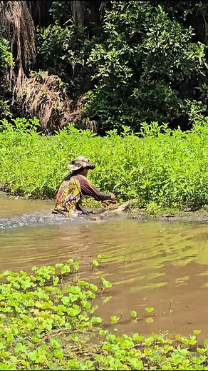 COIO DOS TAMUATÁ | Wallace Do Sapucaia